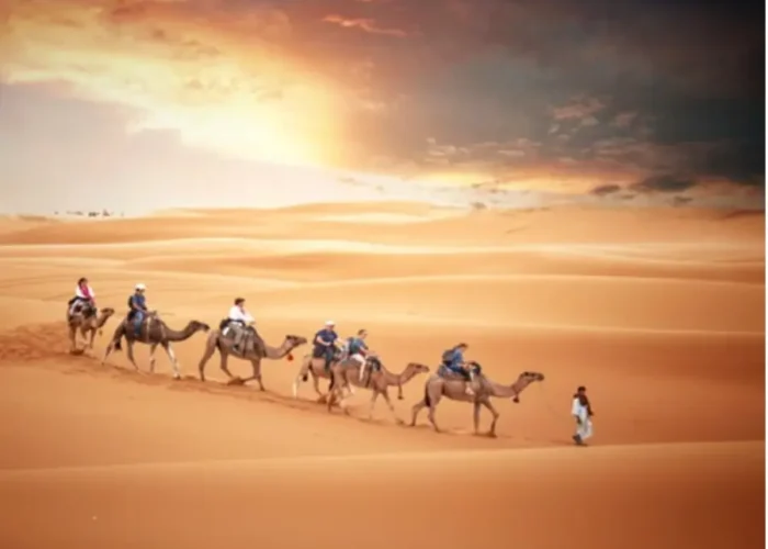 3 Day Camel Trek Morocco