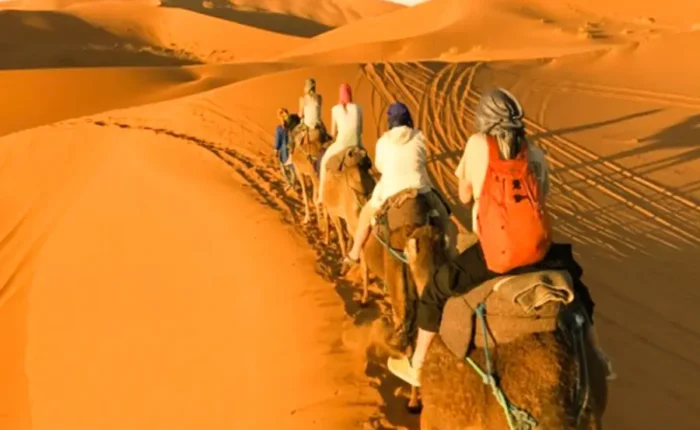 5 Days Morocco Camel Trek