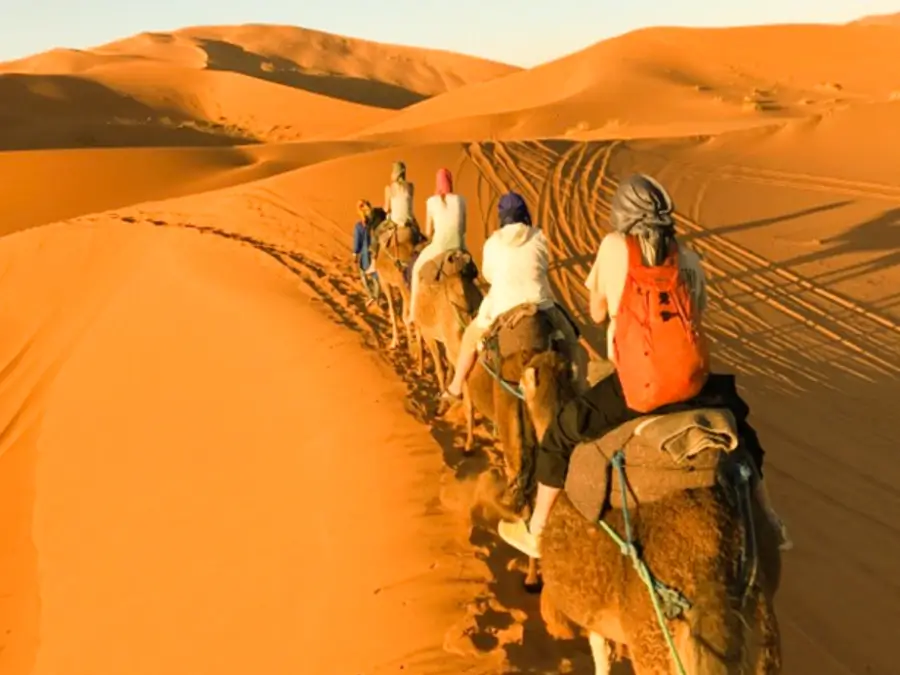 5 Days Morocco Camel Trek