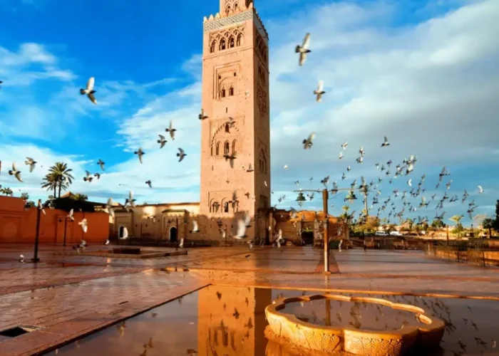 Day Trips from Marrakech