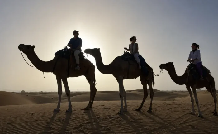 Travelers riding camels during sunset in the Merzouga Sahara Desert on a 2 days tour from Fes