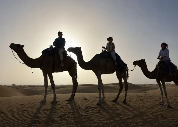 Travelers riding camels during sunset in the Merzouga Sahara Desert on a 2 days tour from Fes