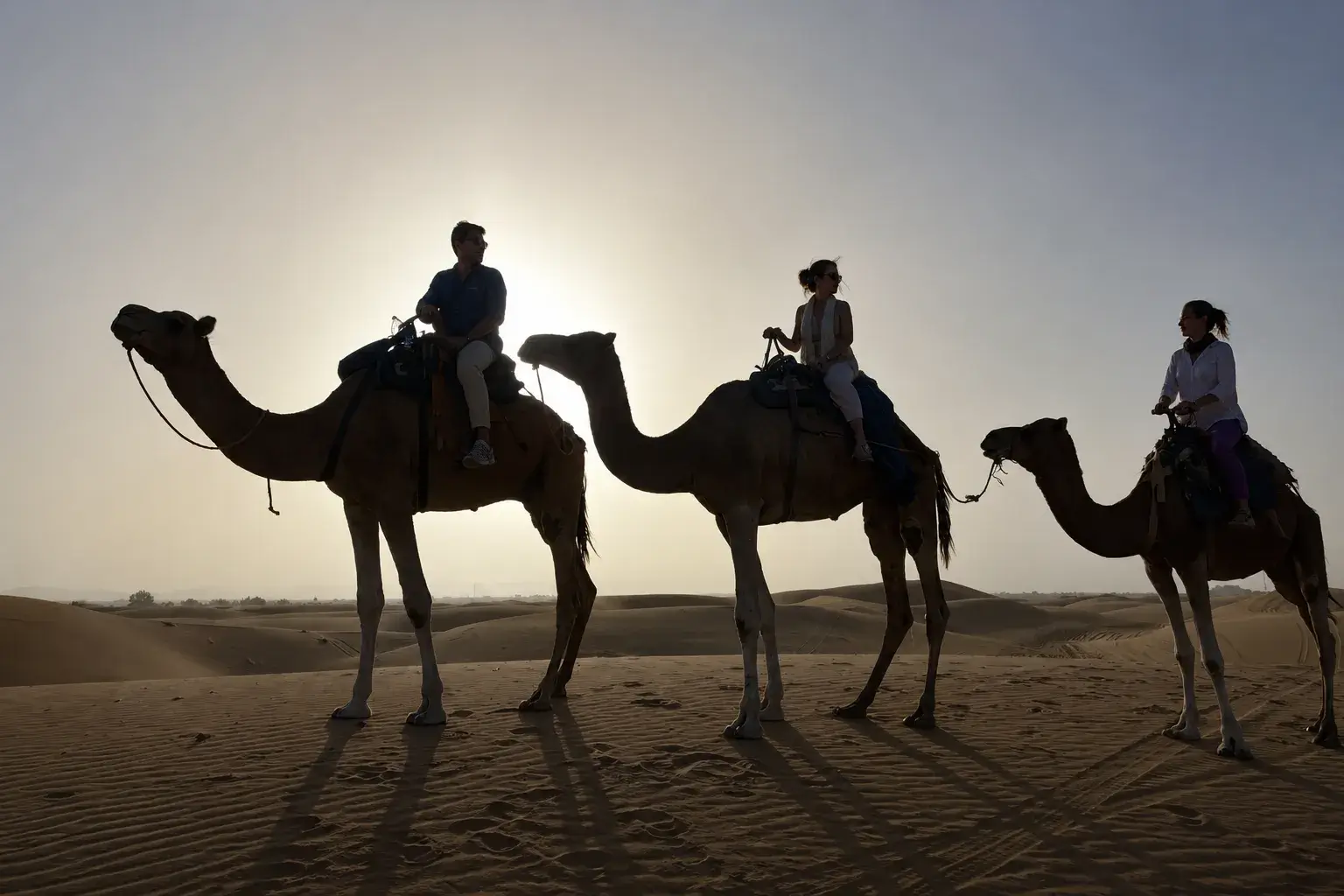 Travelers riding camels during sunset in the Merzouga Sahara Desert on a 2 days tour from Fes