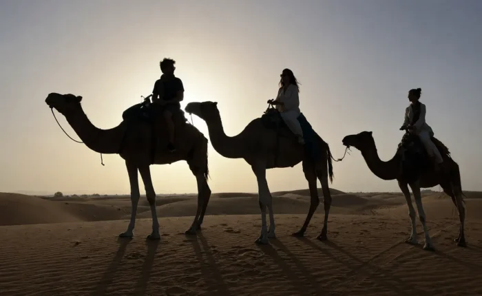 Camel trekking in the Merzouga Sahara Desert during a 7 days Morocco tour from Fes
