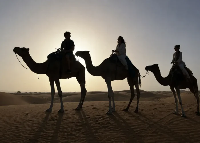 Camel trekking in the Merzouga Sahara Desert during a 7 days Morocco tour from Fes