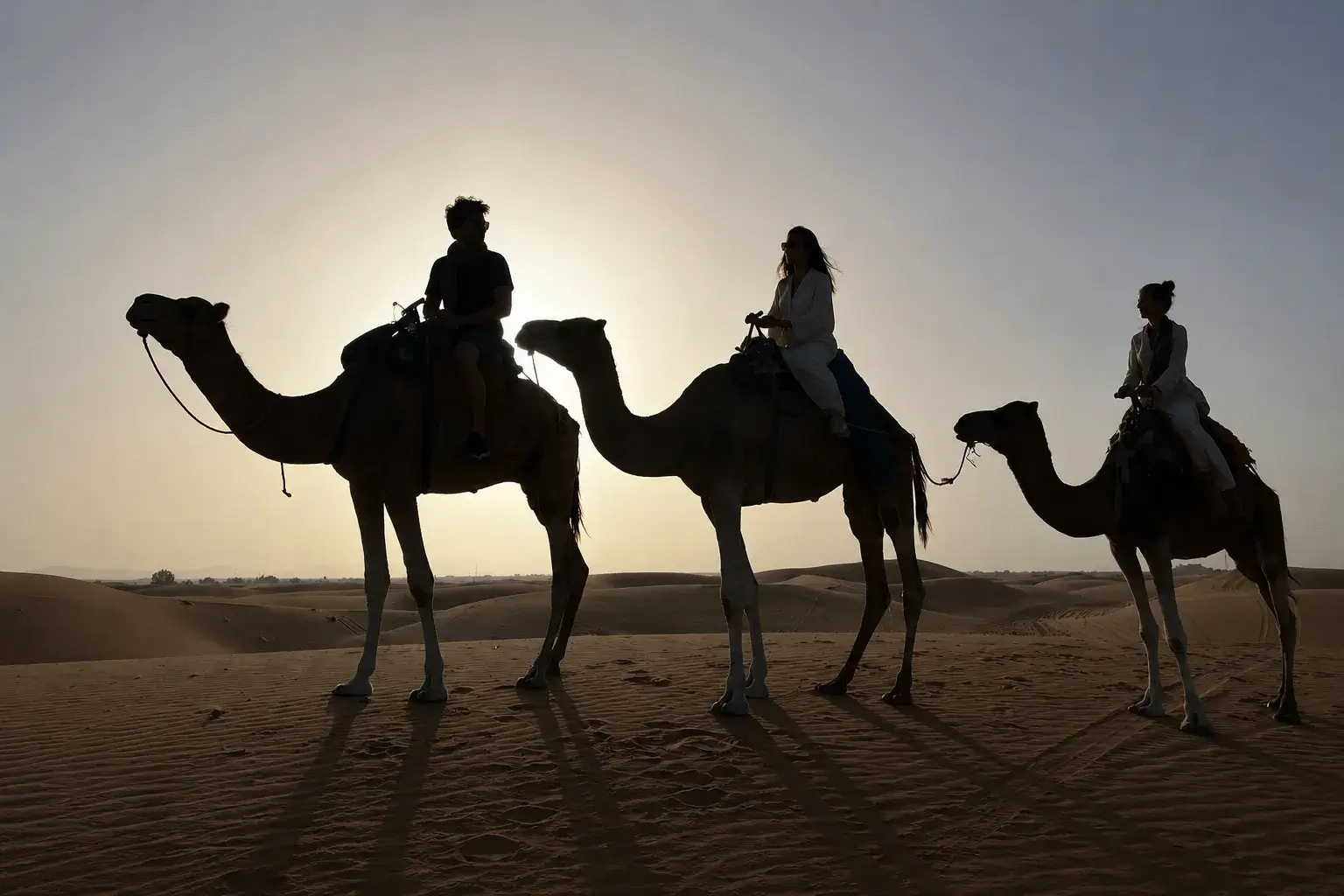 Camel trekking in the Merzouga Sahara Desert during a 7 days Morocco tour from Fes
