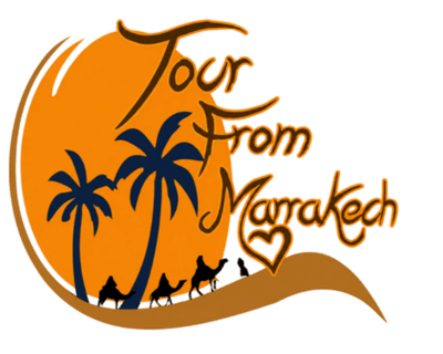 Logo of tour from Marrakech featuring palm trees and camels